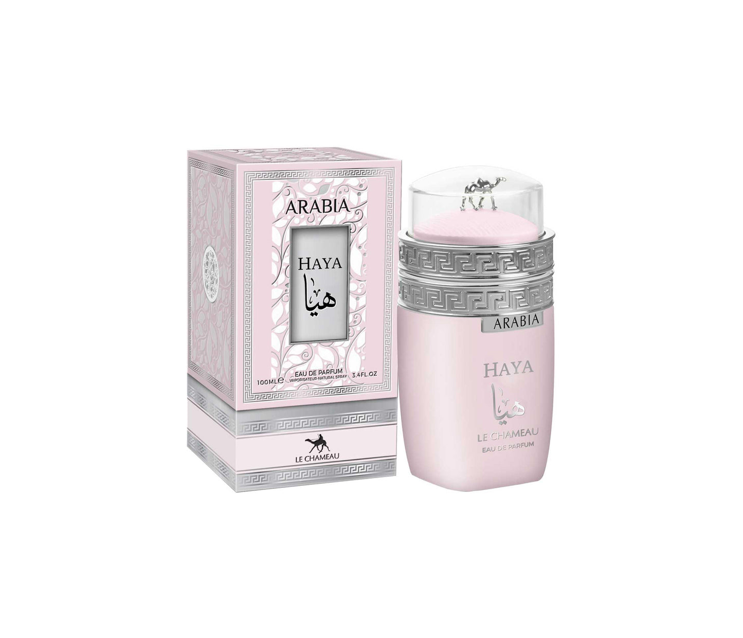 Arabia Haya by Le Chameau EDP Spray 3.4 oz For Women